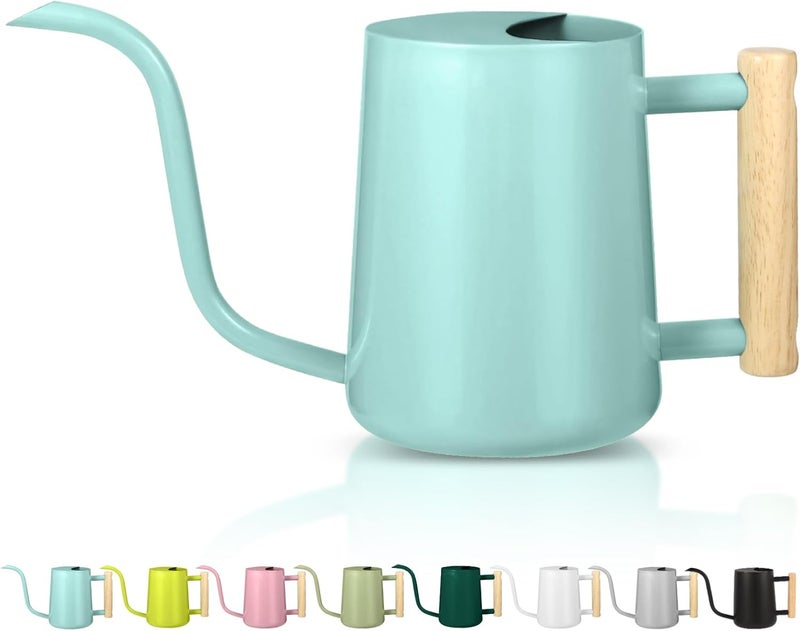 GUKJOB Watering Can Indoor Plants, 35oz Small Indoor Stainless Steel Metal Watering Can Modern Decorative Watering Pot with Long Spout for Indoor House Plant Bonsai Outdoor Garden Flowers -Green - Image 1